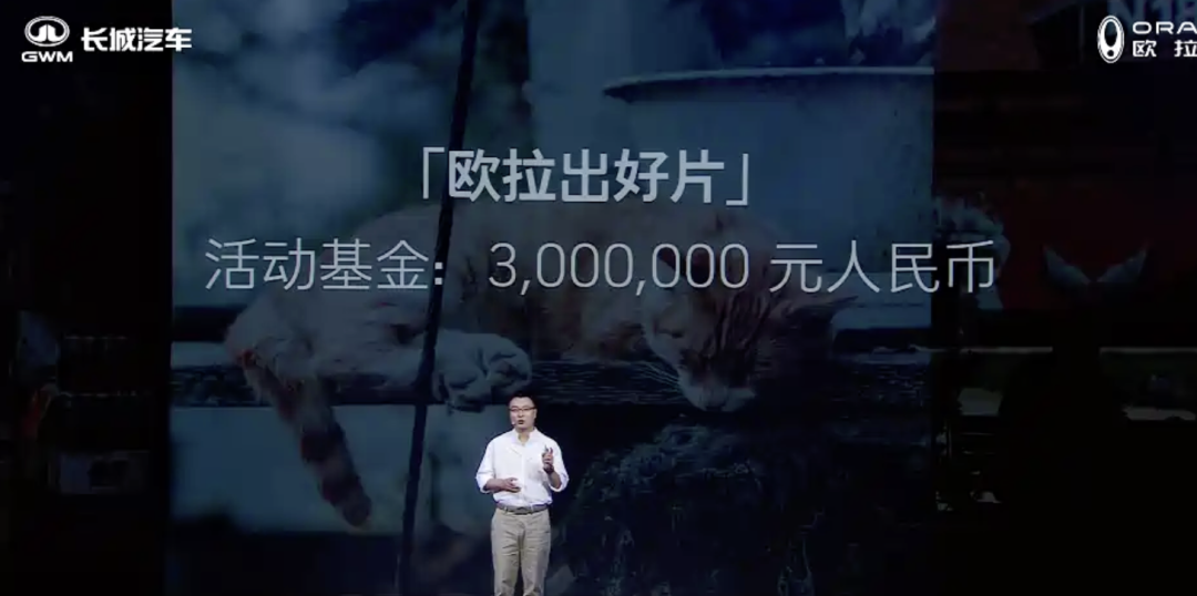 2025款欧拉好猫限时换新价7.98万起！颜值+智能升级，女生会爱吗