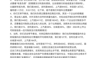 解构“汽车界恒大”论，透视中国新能源产业安全基底