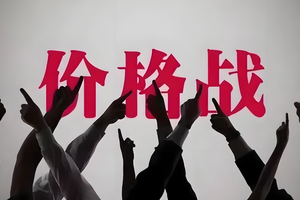 国家出手整顿价格战，谁会继续顶风作案？
