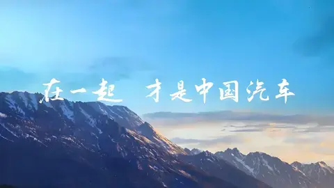 中国汽车行业出现“恒大” 到底是不是比亚迪？