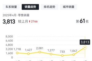 这些汽车品牌有退出中国市场的风险
