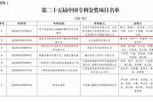 2项金奖！比亚迪再获国家级专利殊荣