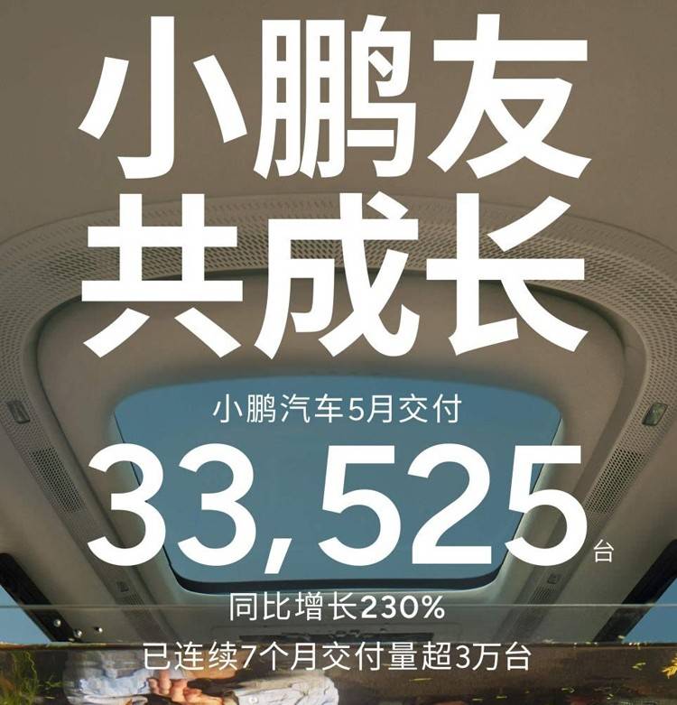 5月新势力销量排名！