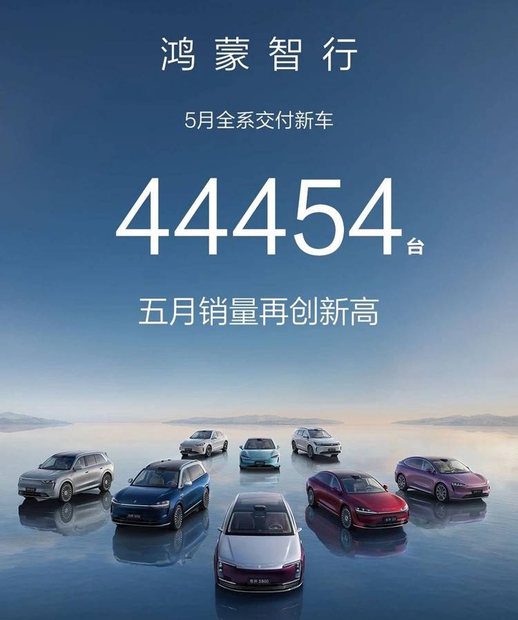 5月新势力销量排名！