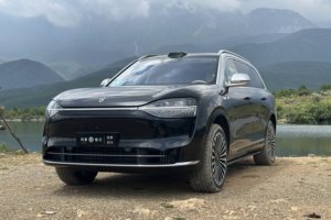 5月新能源汽车销量榜出炉：特斯拉跌出前三，零跑成新势力一哥