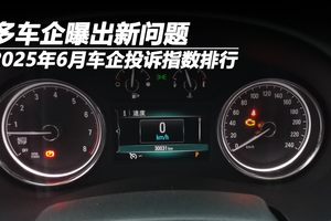 2025年6月车企投诉指数排行：多车企曝出新问题