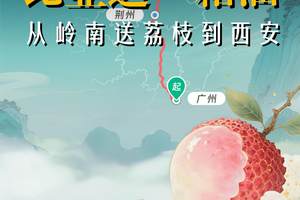 从岭南到长安，比亚迪秦L，一箱油送到荔枝
