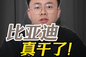为智能泊车兜底？比亚迪真干了！友商：不是…你来真的啊？