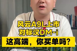 风云A9L上市，对标汉DM-i