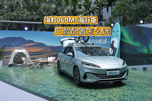 海豹06DM-i旅行版 三款配置怎么选