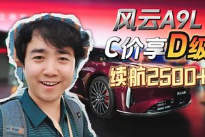 风云A9L C价享D级 续航2500+