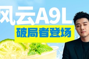 【乐阳频道】真豪华 真性能 真安全 真智能 风云A9L“鉴真章”