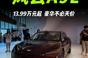 豪华不必天价！风云A9L正式上市，13.99万元起