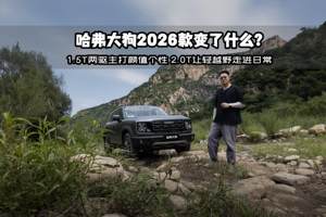 哈弗大狗2026款变了什么？