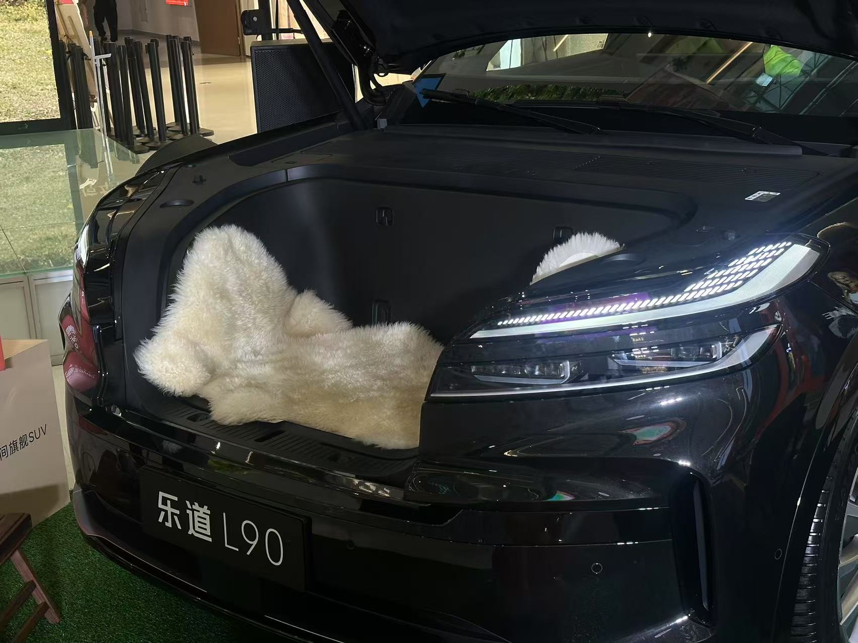 乐道L90这么大的车，租电价格只要19.39万?