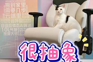 我要在舒适的AI座椅上，和生活大战三百回合！