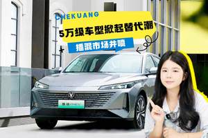 插混市场井喷：自主品牌5万级车型掀起替代潮