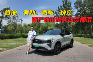 省油、有劲、宽敞、快充   国产的价格买合资插混