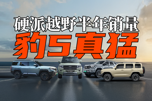 2025年硬派越野半年销量｜豹5猛！坦克300稳