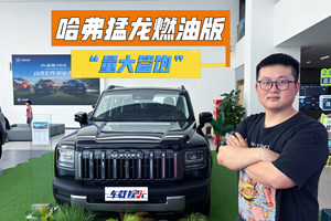 跳脱“集体无意识”，哈弗猛龙燃油版，“量大管饱”！