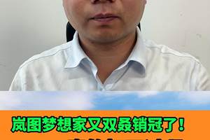 岚图梦想家又双叒销冠了！D9和GL8：真的打不过啊！