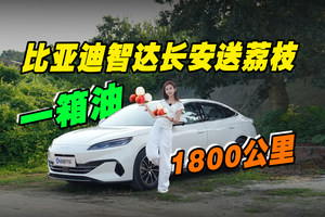挑战一箱油，1800公里给比亚迪车主送“仙进奉”荔枝