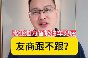 2025年车圈顶级“阳谋”：比亚迪媲美L4为智能泊车兜底，全球首个承诺全面保障，终结用户责任焦虑，背后有三大底气！