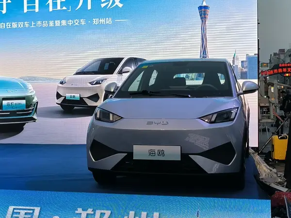 第五代DM技术+天神之眼 海豹06DM-i旅行版和海鸥自在版郑州上市