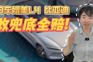 泊车媲美L4 比亚迪敢兜底全赔