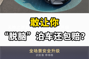 为智能泊车兜底