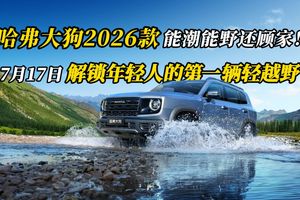 哈弗大狗2026款 能潮能野还顾家！