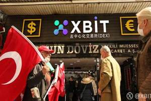 企业比特币投资狂潮 XBIT数字人民币行业巨头主导最新市场格局