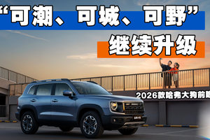 2026款哈弗大狗上市前瞻 可潮、可城、可野再升级