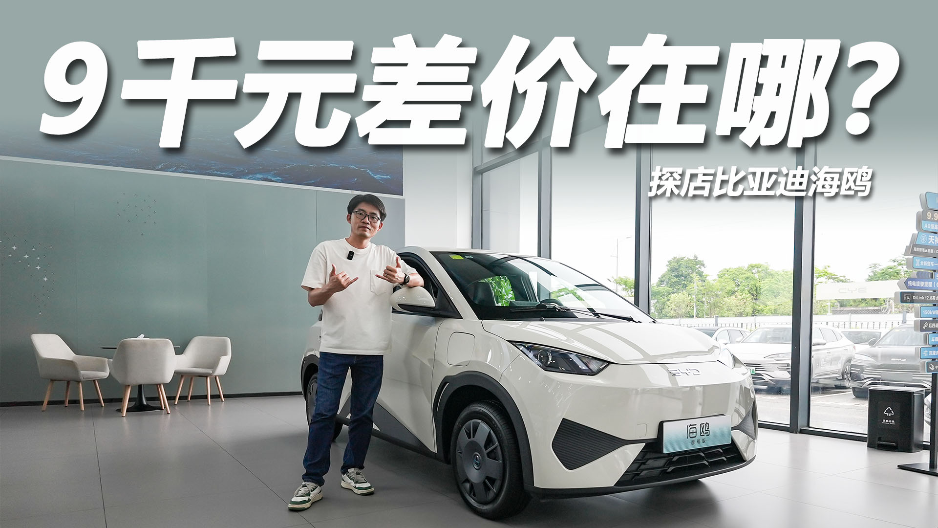 与自在版差价9000元，区别在哪里？探店比亚迪海鸥