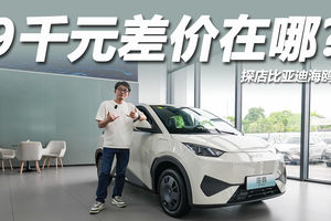 与自在版差价9000元，区别在哪里？探店比亚迪海鸥