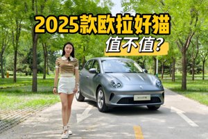 25款欧拉好猫8万多了？？