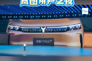岚图用户之夜燃爆武汉，岚图FREE+21.99万起标配华系全家桶
