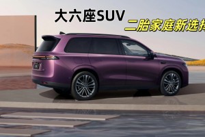 大六座SUV--终结二胎家庭的选择纠结