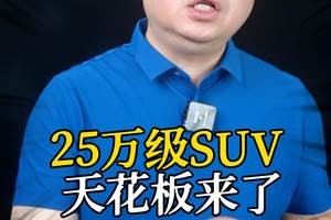 25万级SUV天花板来了