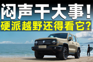 他强任他强，坦克300赢在哪里？
