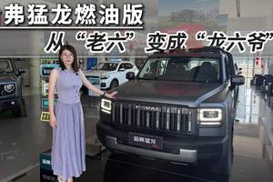 哈弗猛龙燃油版：到店实拍，真“老六”还是“龙六爷”？