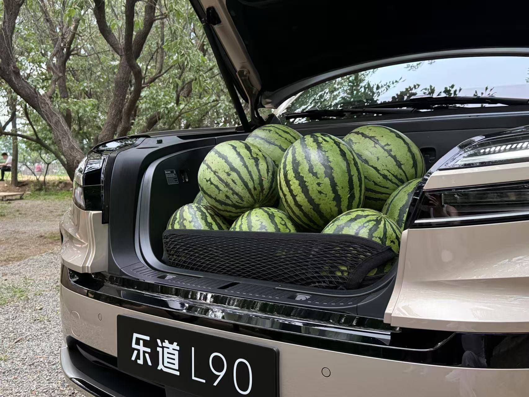 19.39万的乐道L90，要做纯电时代的汉兰达