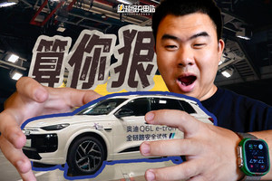 奥迪 Q6L e-tron 撞了我个措手不及