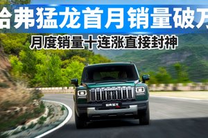 哈弗猛龙首月销量破万，月度销量十连涨直接封神！