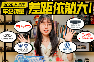 2025上半年车企销量，比亚迪吉利破百万，大众独守前三