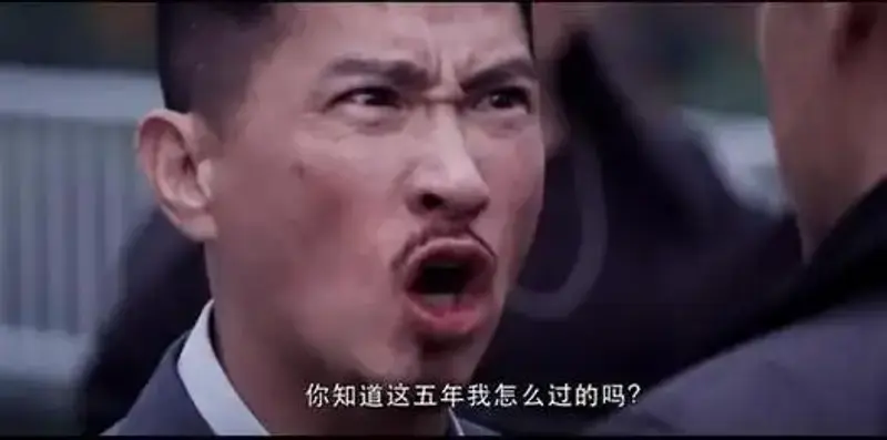 合资车：你知道这五年我怎么过的吗？