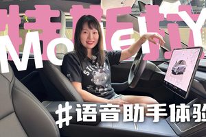 没有唤醒词？特斯拉Model Y上的语音控制怎么用？好用吗?