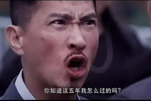 合资车：你知道这五年我怎么过的吗？