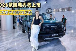 权益后9.89万起 14.6英寸屏+四驱 2026款哈弗大狗竞争力分析