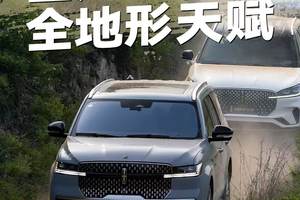 巨舰掌舵：领航员于逆境中的优雅之道